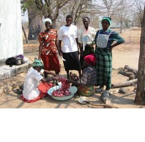 Large Beast – Vhombozi School celebration